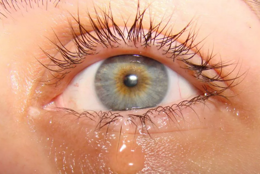 Суд-тиббий экспертиза хулосаси: фуқаронинг ўлимига вакцина сабаб бўлмаган