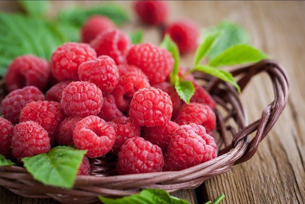 Суд-тиббий экспертиза хулосаси: фуқаронинг ўлимига вакцина сабаб бўлмаган